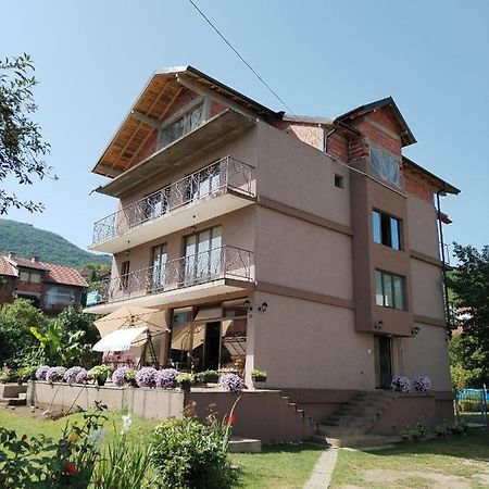 Guest House Dimitrije Niska Banja Bagian luar foto