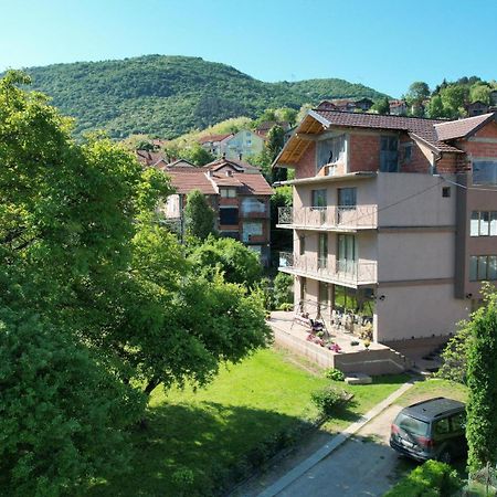 Guest House Dimitrije Niska Banja Bagian luar foto