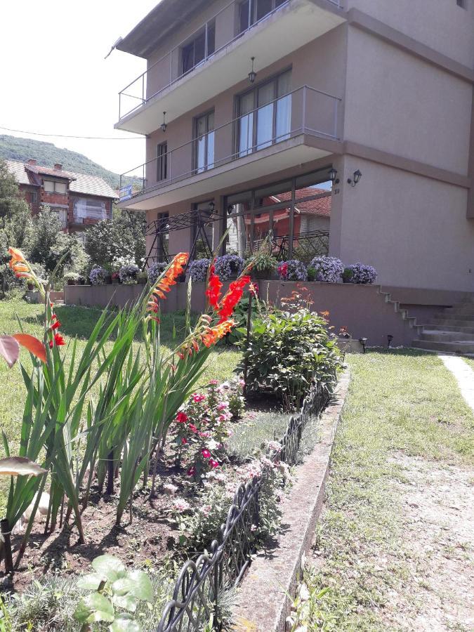 Guest House Dimitrije Niska Banja Bagian luar foto