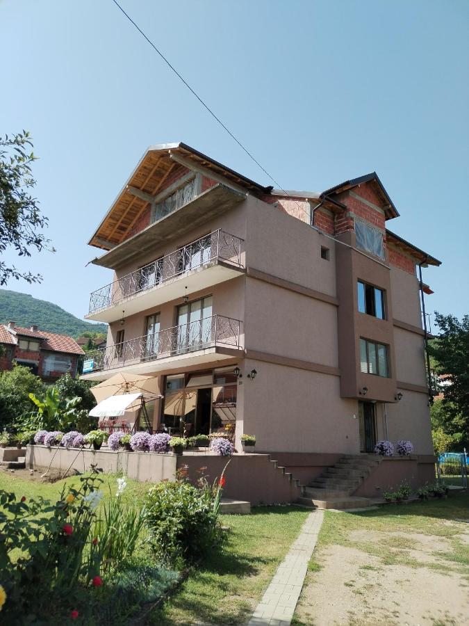 Guest House Dimitrije Niska Banja Bagian luar foto