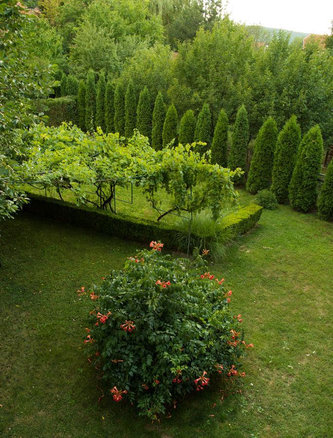 Guest House Dimitrije Niska Banja Bagian luar foto