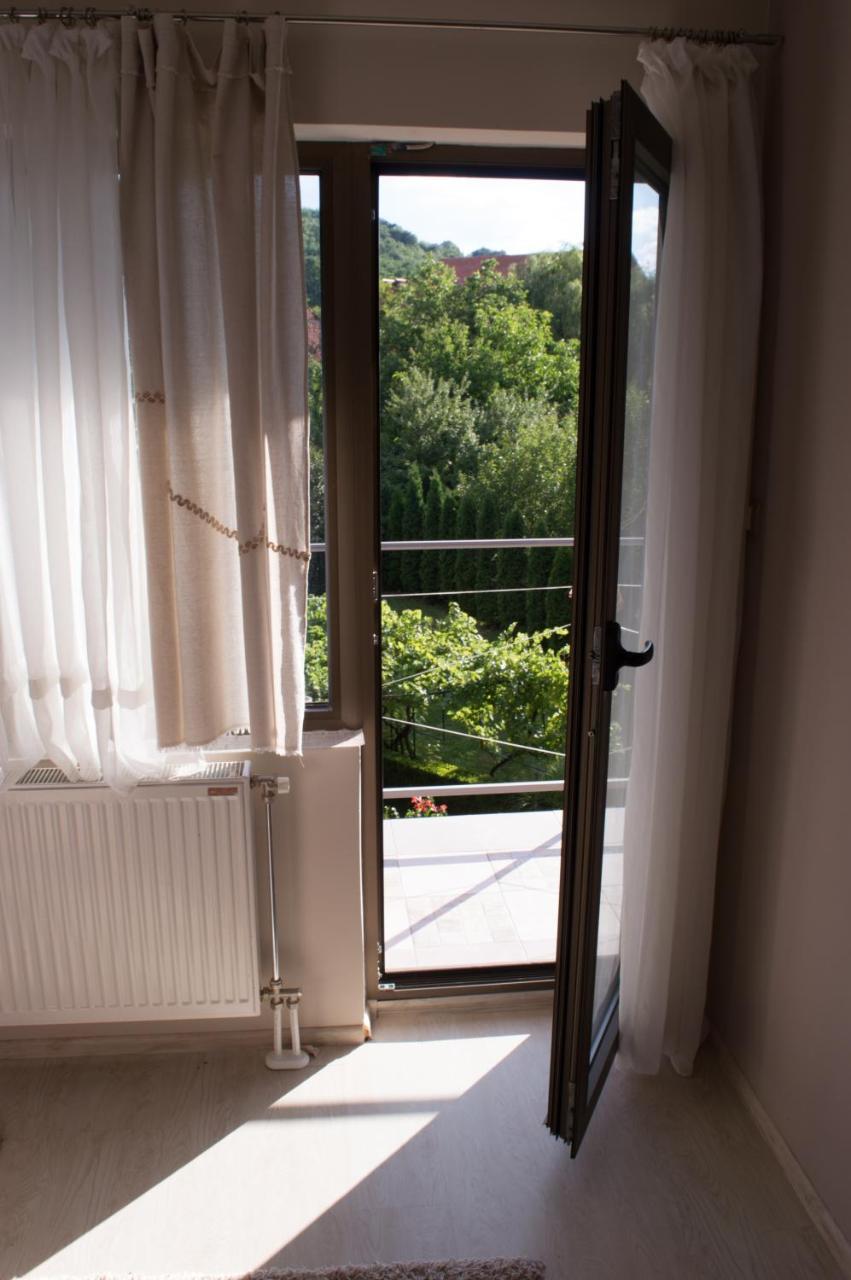 Guest House Dimitrije Niska Banja Bagian luar foto